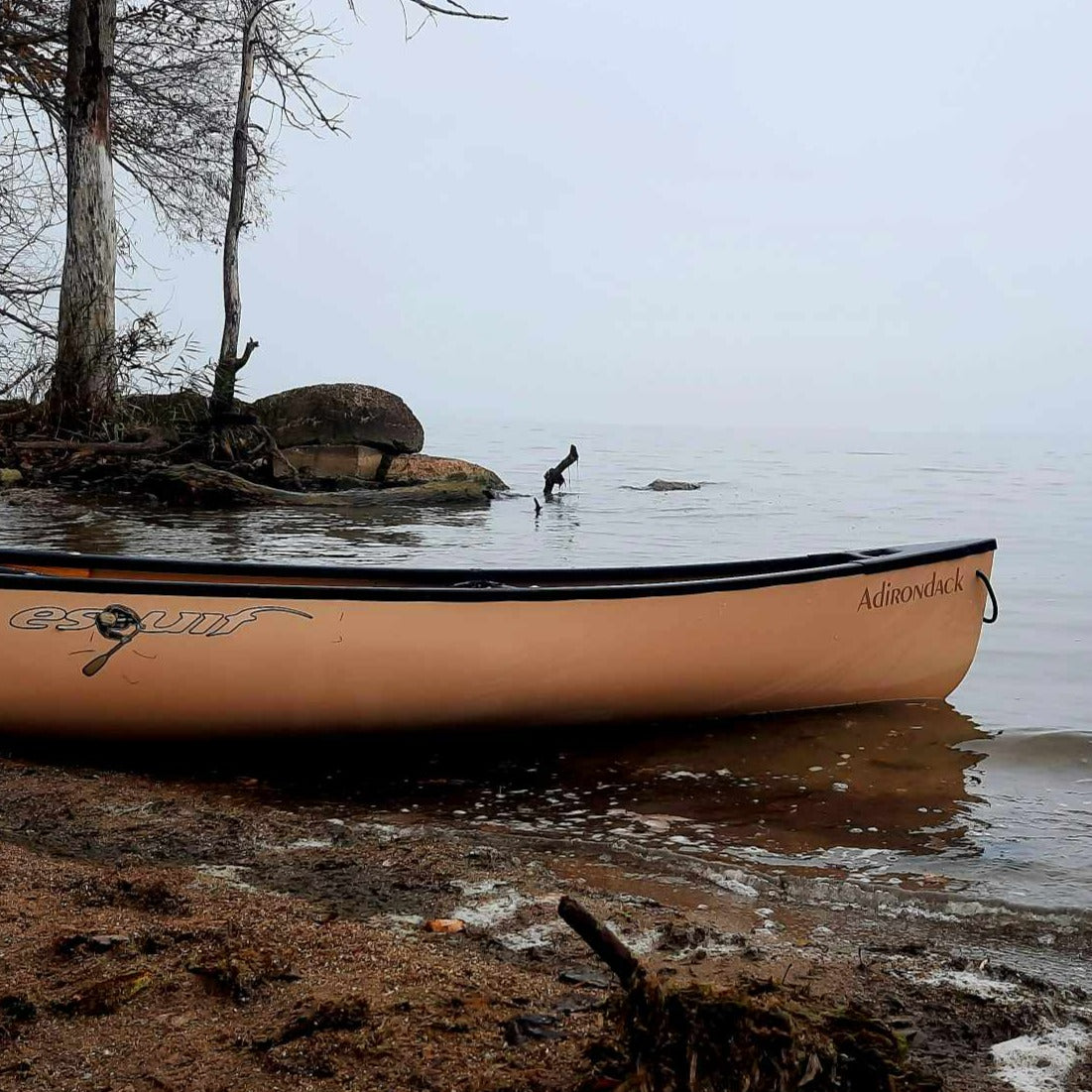 Esquif Adirondack 12' T-Formex Canoe: the Esquif Adirondack, the number one selling canoe from Esquif and a celebrated winner in the BEST CANOE category at the Paddling Magazine Industry Awards.