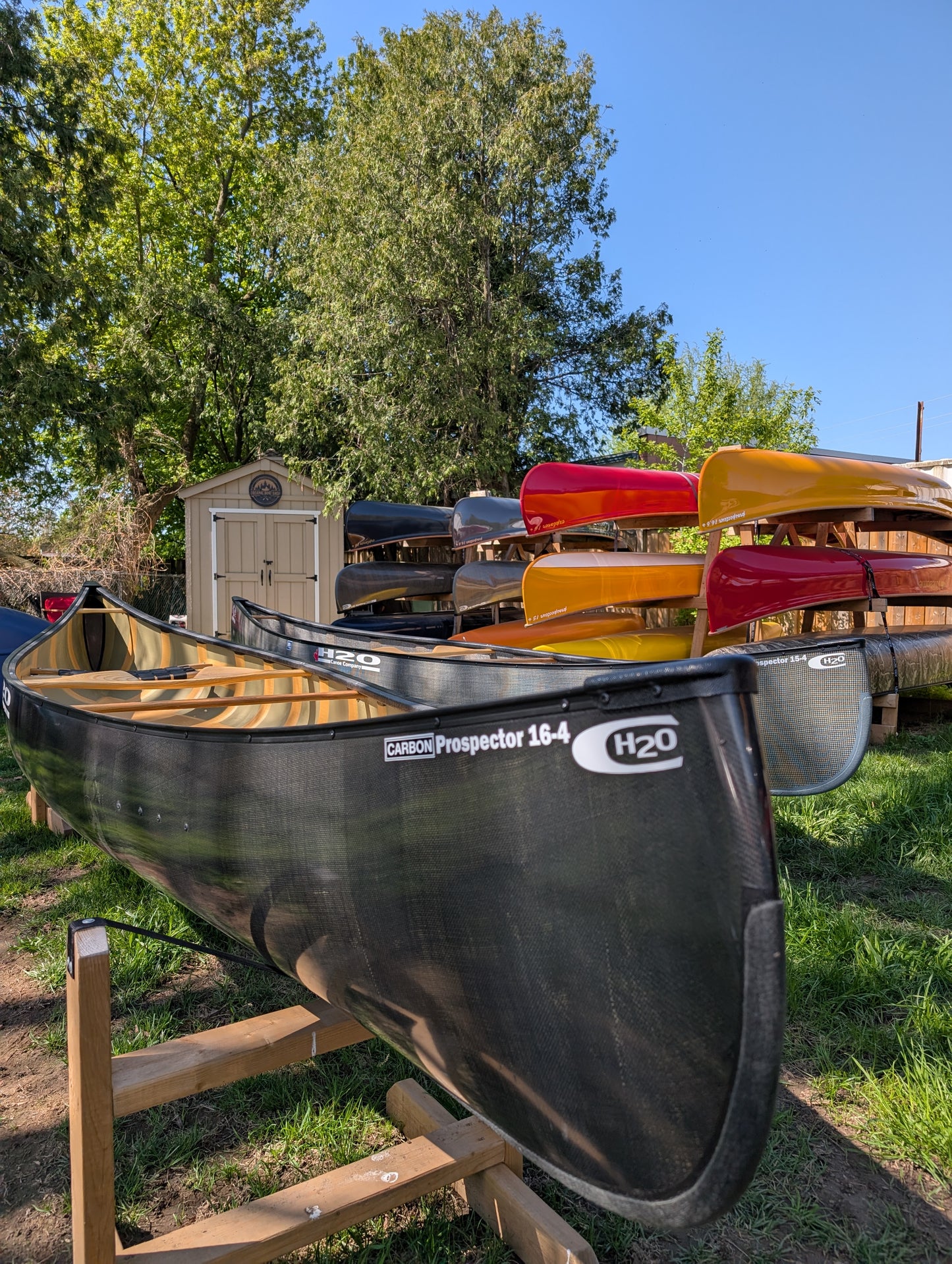 H2O PROSPECTOR 16'4 PRO LITE CARBON