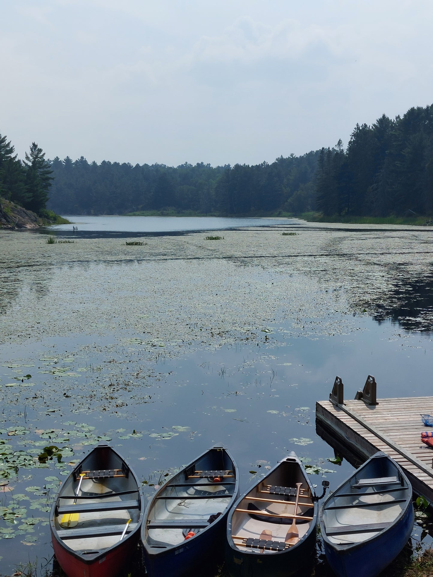 Canoe Rental Option for Convenience: Don't have a canoe? No problem! Opt to rent one for $40, which includes the use of a canoe, paddle, and PFD. Alternatively, you're welcome to bring your own equipment.