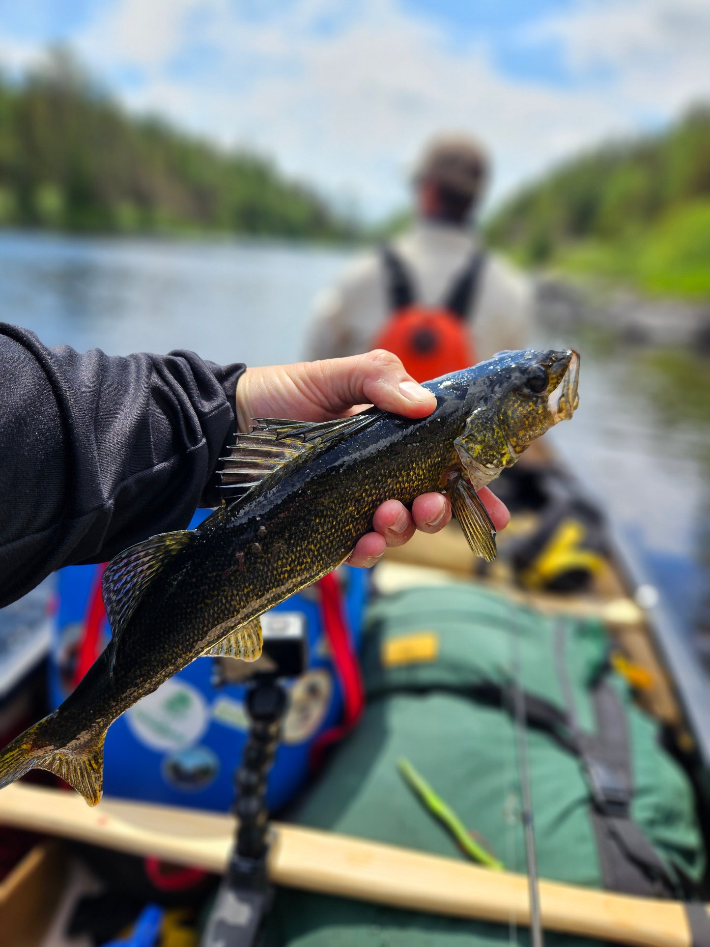 SPANISH RIVER CANOE TRIP