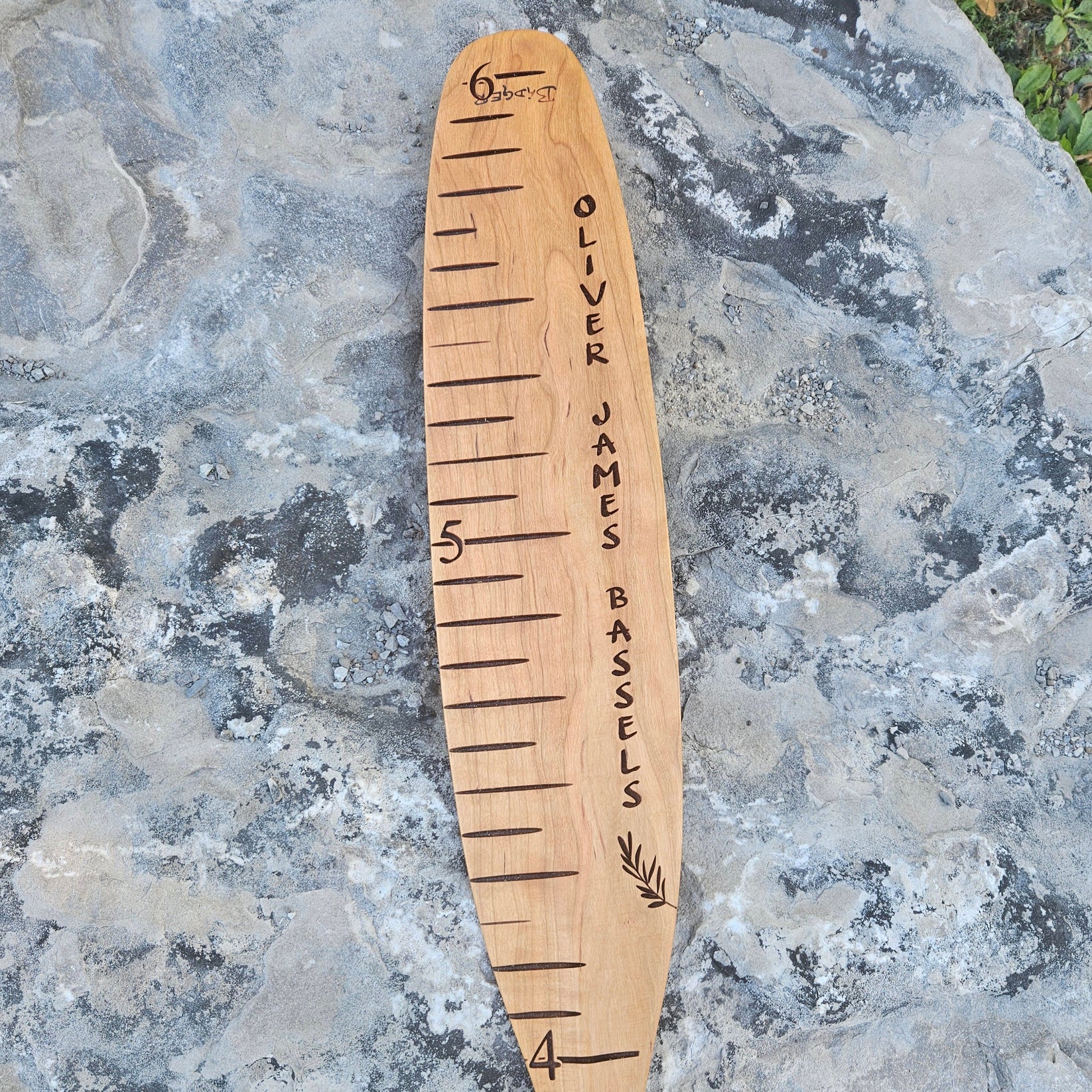 GROWTH CHART PADDLE Organic Boat Shop