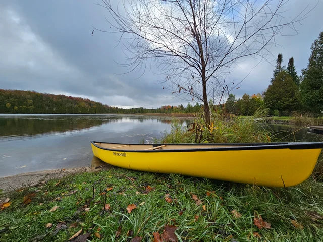 IN STOCK: Wenonah Wilderness 15'4 T-Formex Canoe